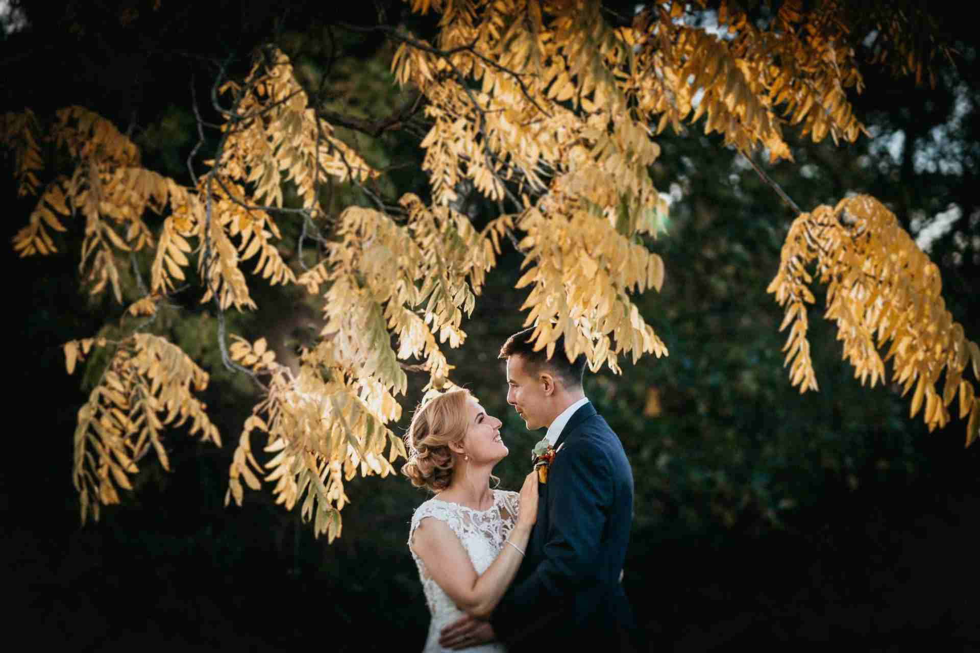 PORTFOLIO 38 Bride and groom embrace under a tree at a Stubton Hall wedding venue